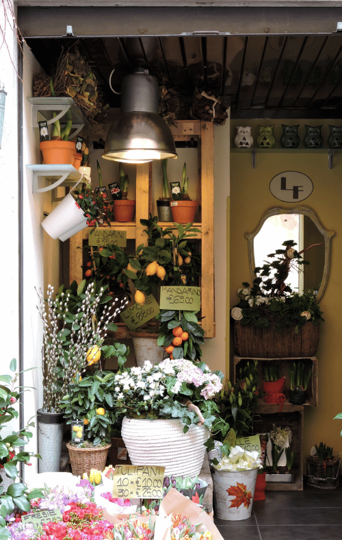 the inside of a flower shop