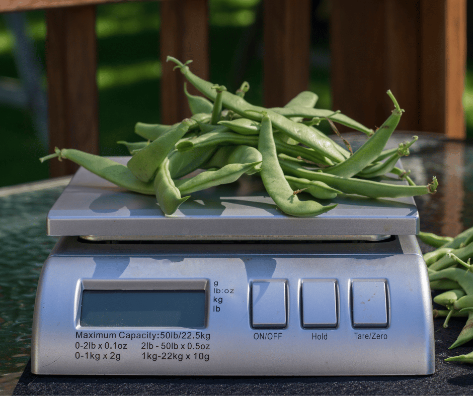scale weighing fresh green beans