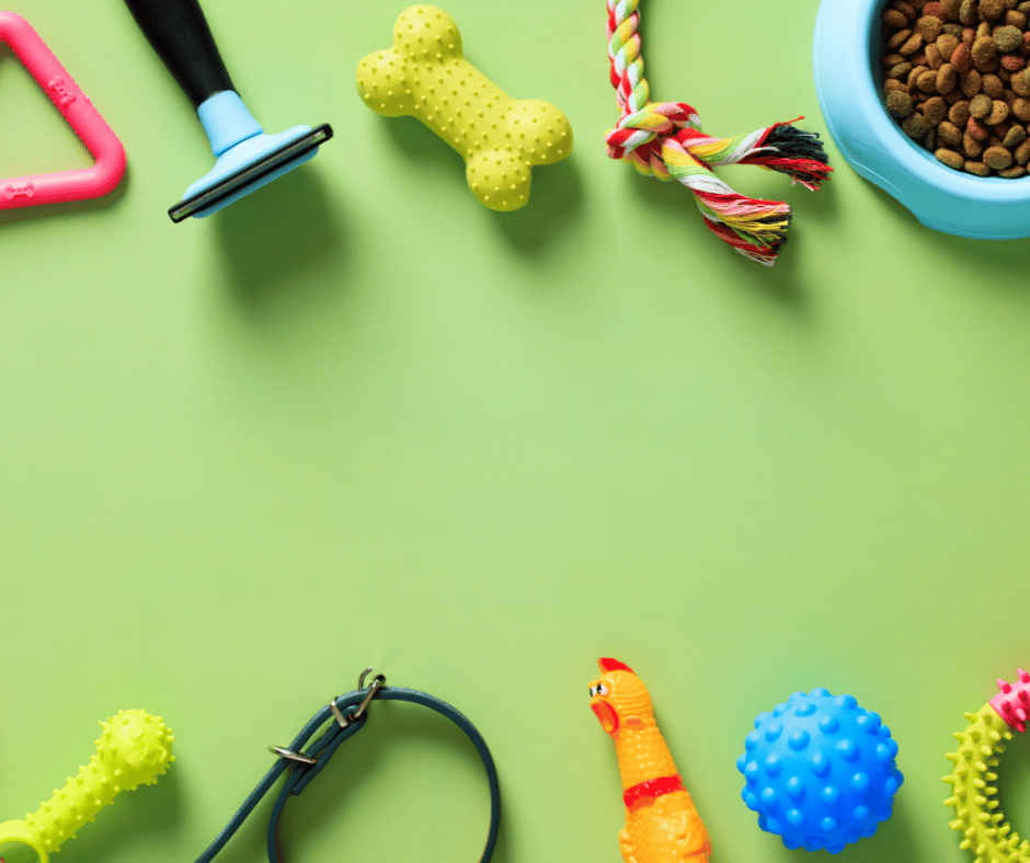 a staged photo of an array of pet products 